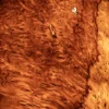 yo-wandleuchte-laurel-holz-detail