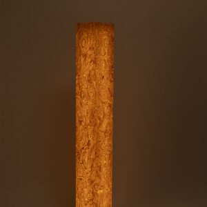 Handmade root wood floor lamp with organic veneer texture in modern interior